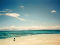 �P�A���Y�̃r�[�`